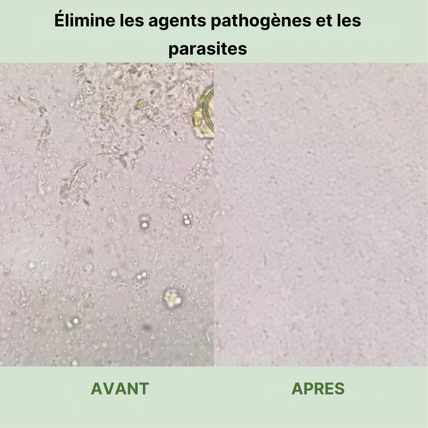 Novera™ – Énergie naturelle, digestion légère & bien-être durable